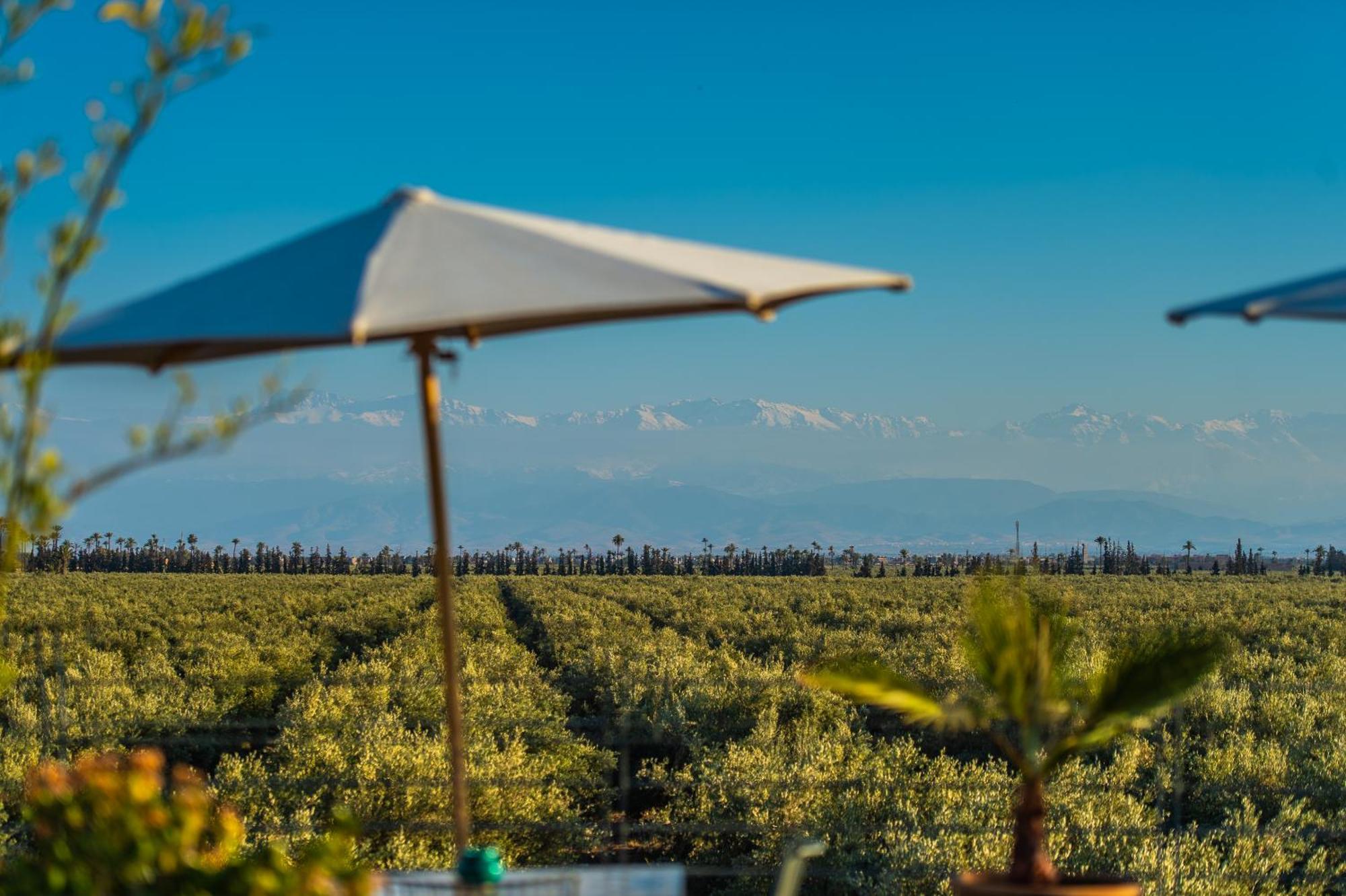 Riad Bab Ahmar Marrakesh Buitenkant foto
